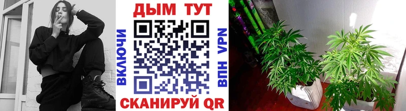 Купить закладку Гашиш  Марихуана  Лсд 25  Меф мяу мяу  КОКАИН  А ПВП  Гороховец