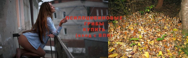 соль курить ск Инсар