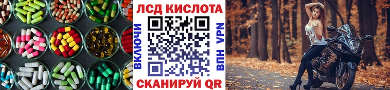 Купить закладки  Гороховец  LSD-25 экстази кислота 