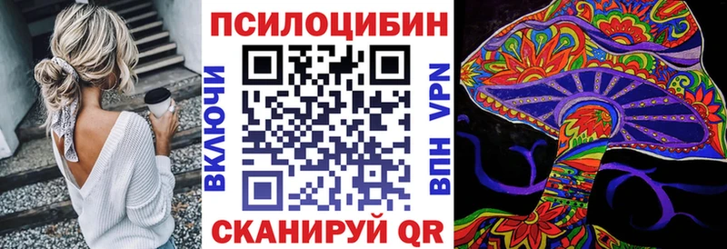 Купить где  Гороховец  Галлюциногенные грибы GOLDEN TEACHER 